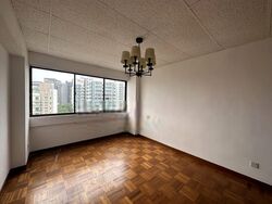 The Cairnhill (D9), Condominium #409224221